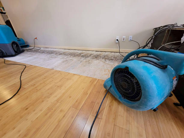 Professional Water Removal technician working in Denton, NC